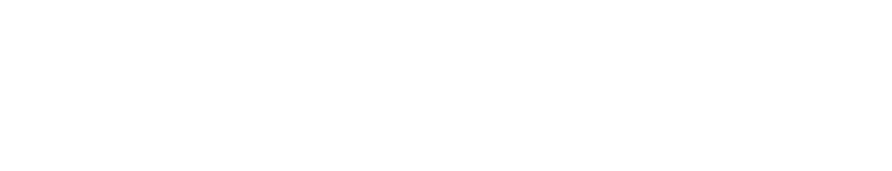 TECHOKS Paweł Kurzawiński